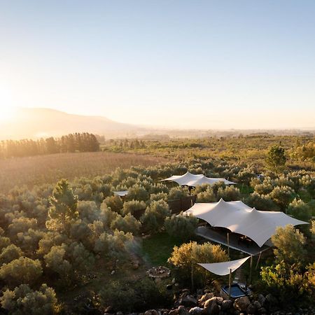 Wagyu Mountain Lodge Paarl Ngoại thất bức ảnh