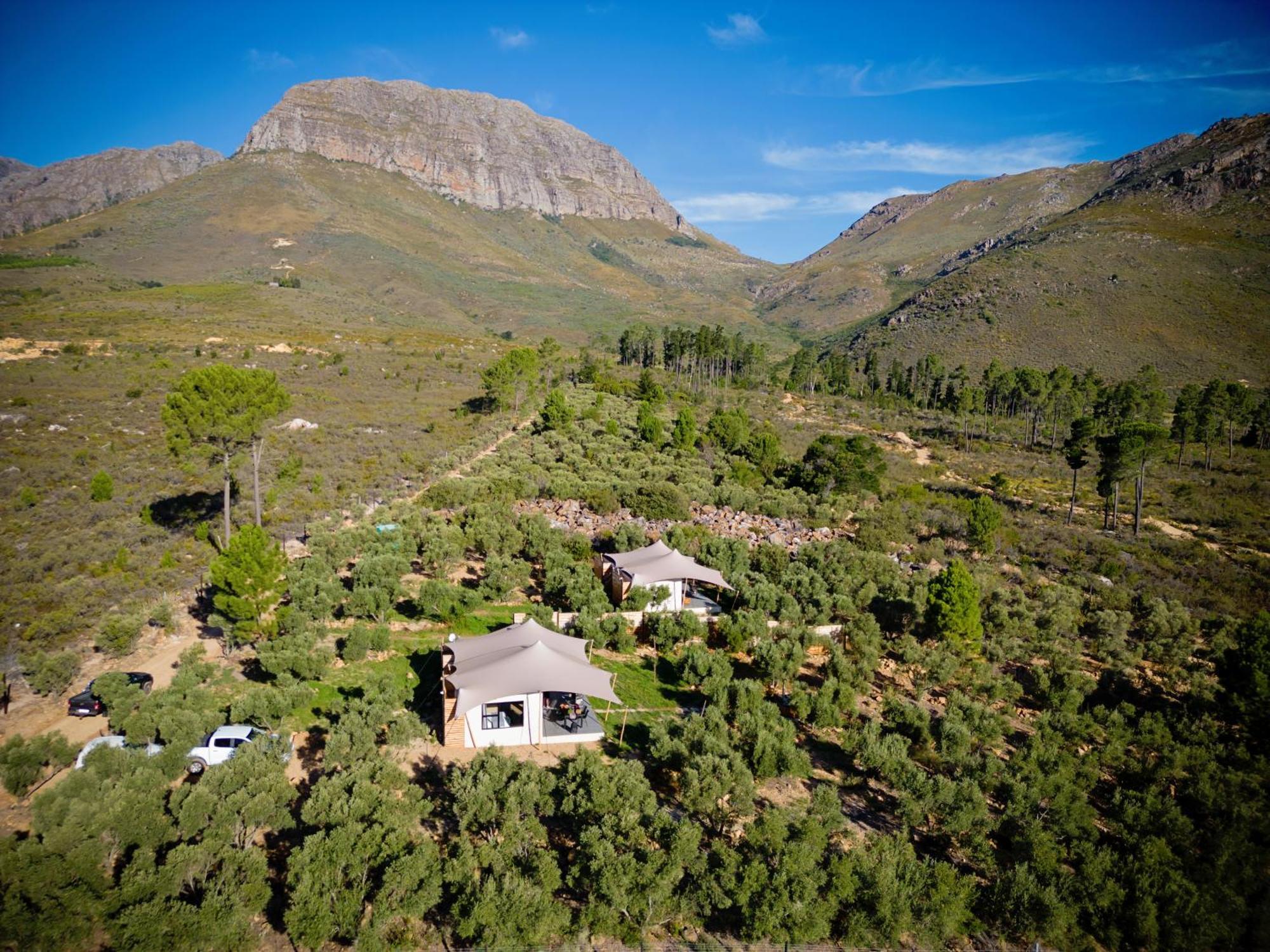 Wagyu Mountain Lodge Paarl Ngoại thất bức ảnh