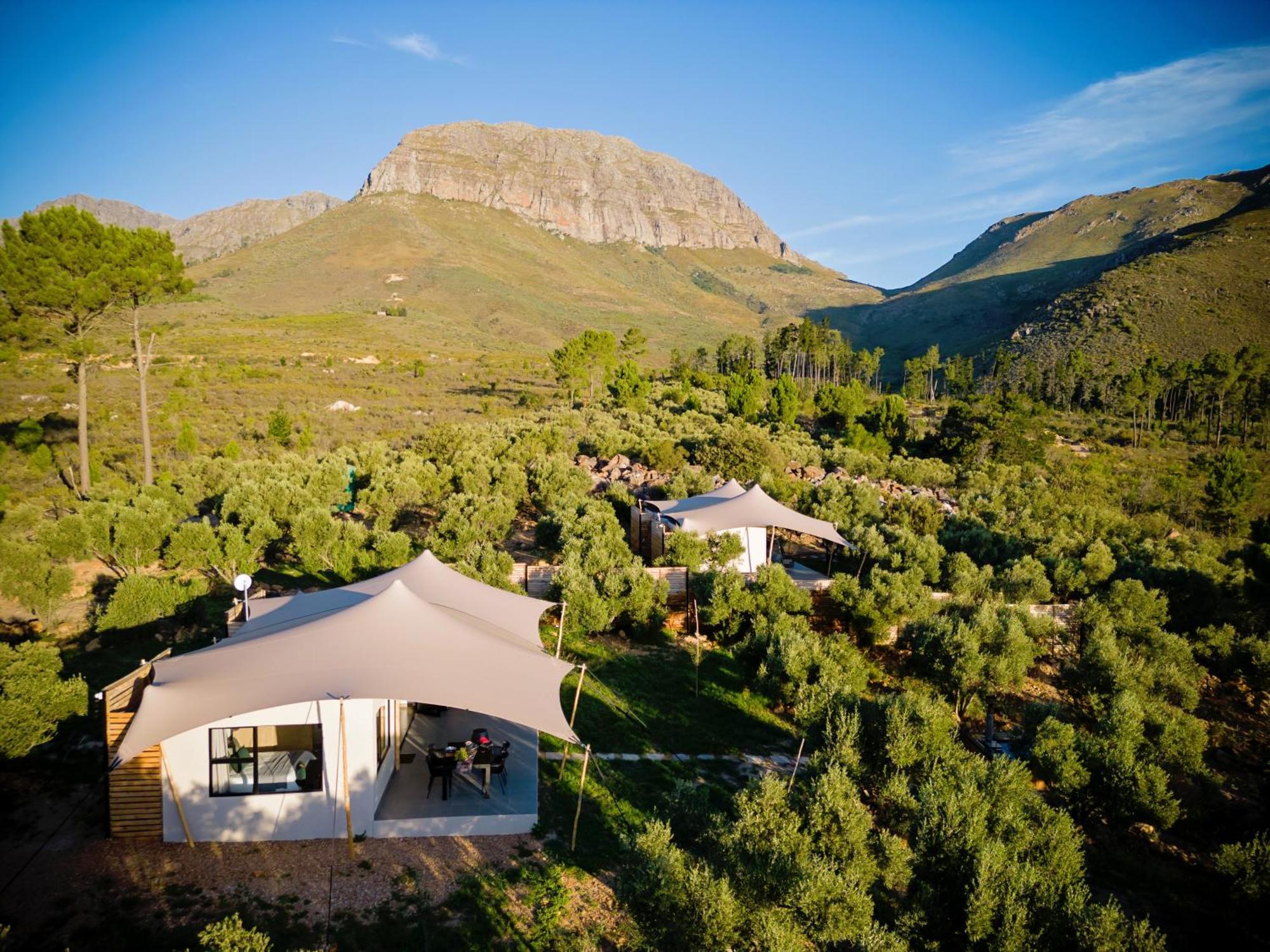 Wagyu Mountain Lodge Paarl Ngoại thất bức ảnh