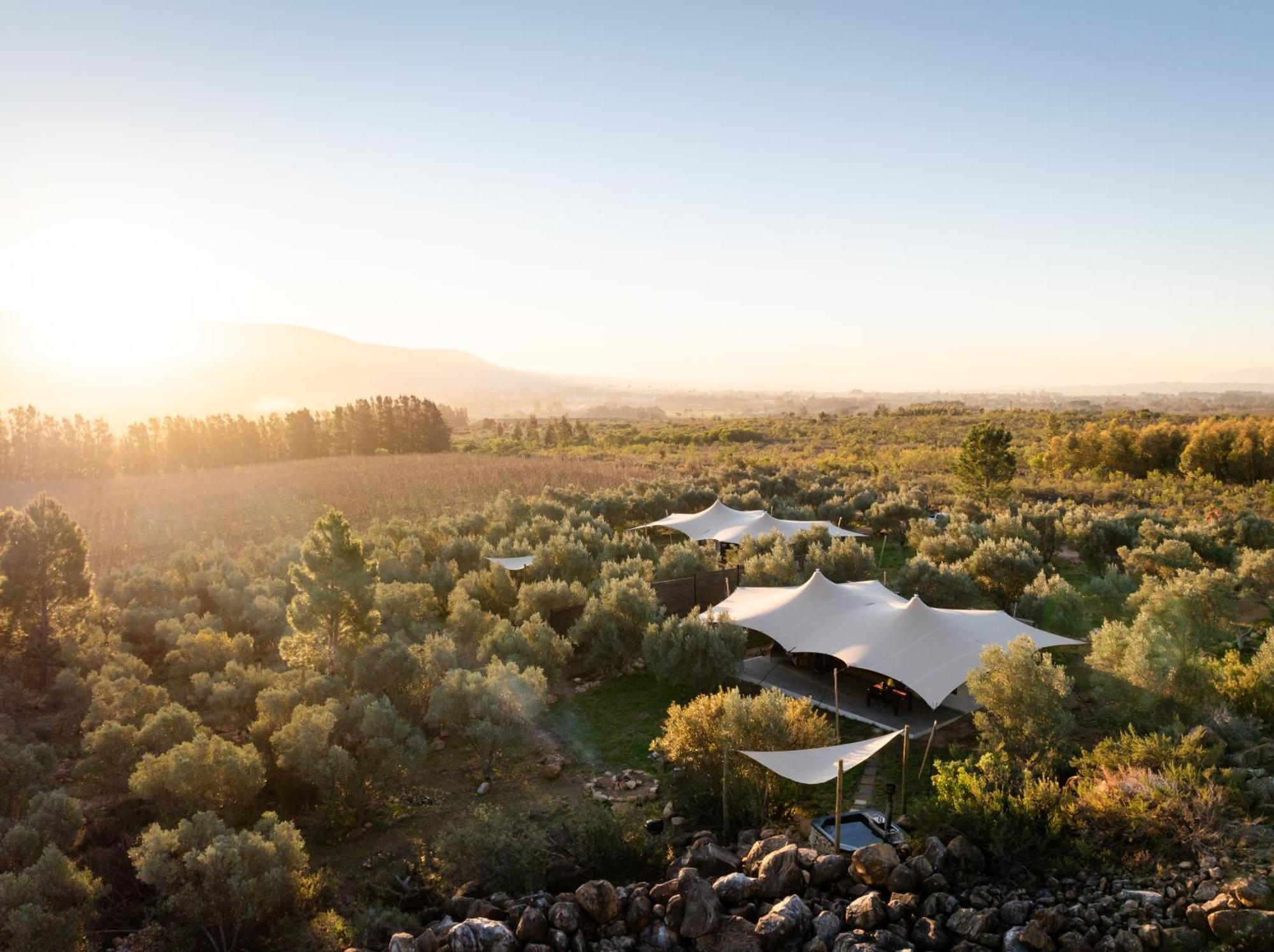 Wagyu Mountain Lodge Paarl Ngoại thất bức ảnh