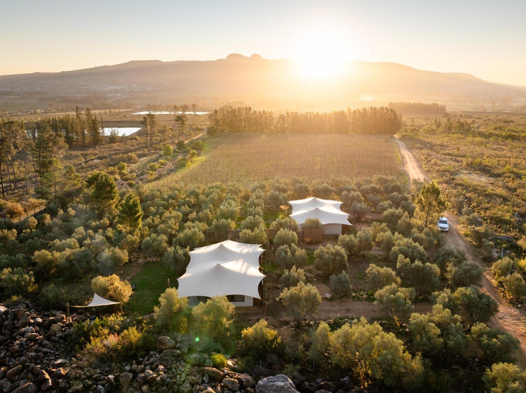 Wagyu Mountain Lodge Paarl Ngoại thất bức ảnh