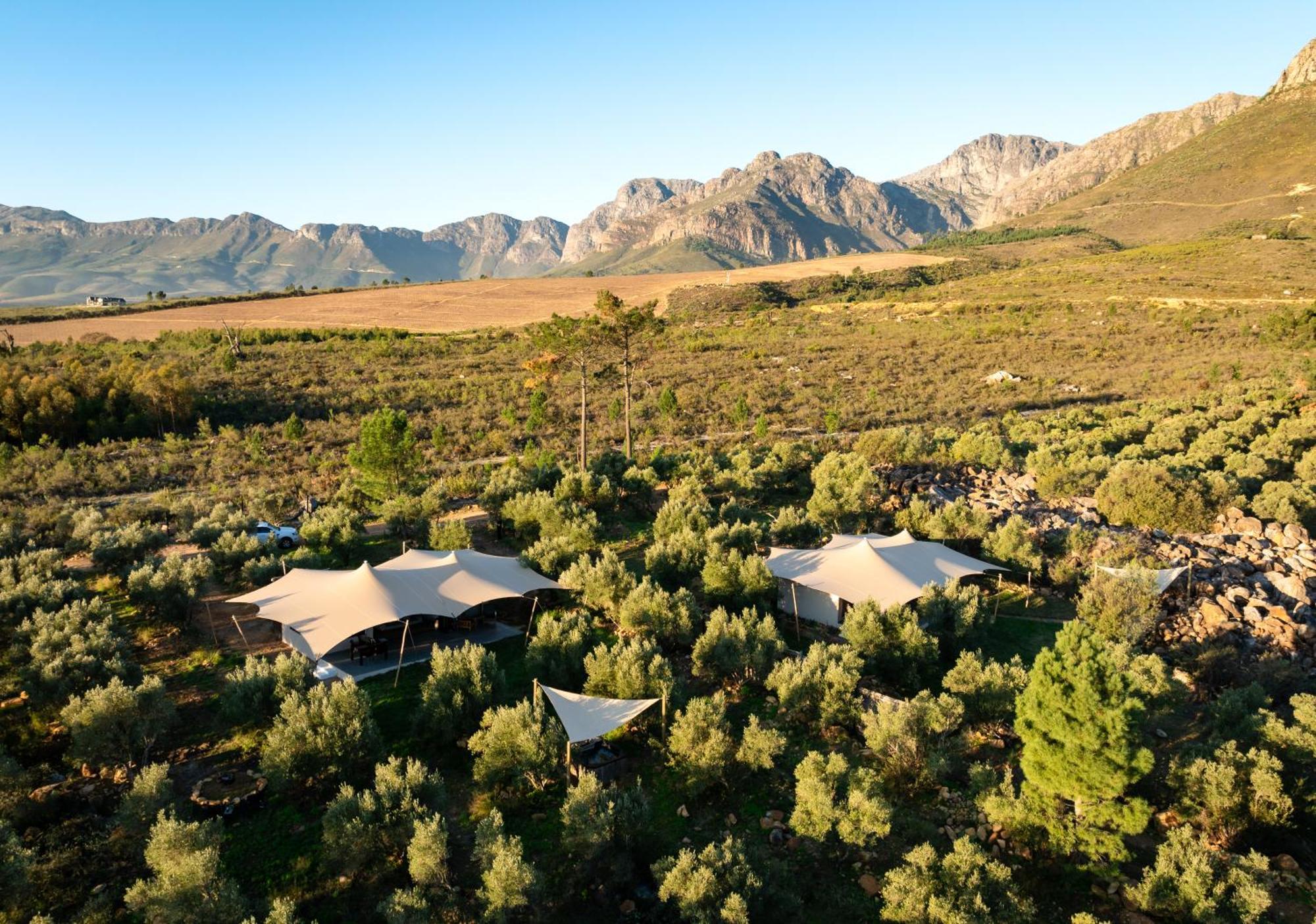 Wagyu Mountain Lodge Paarl Ngoại thất bức ảnh